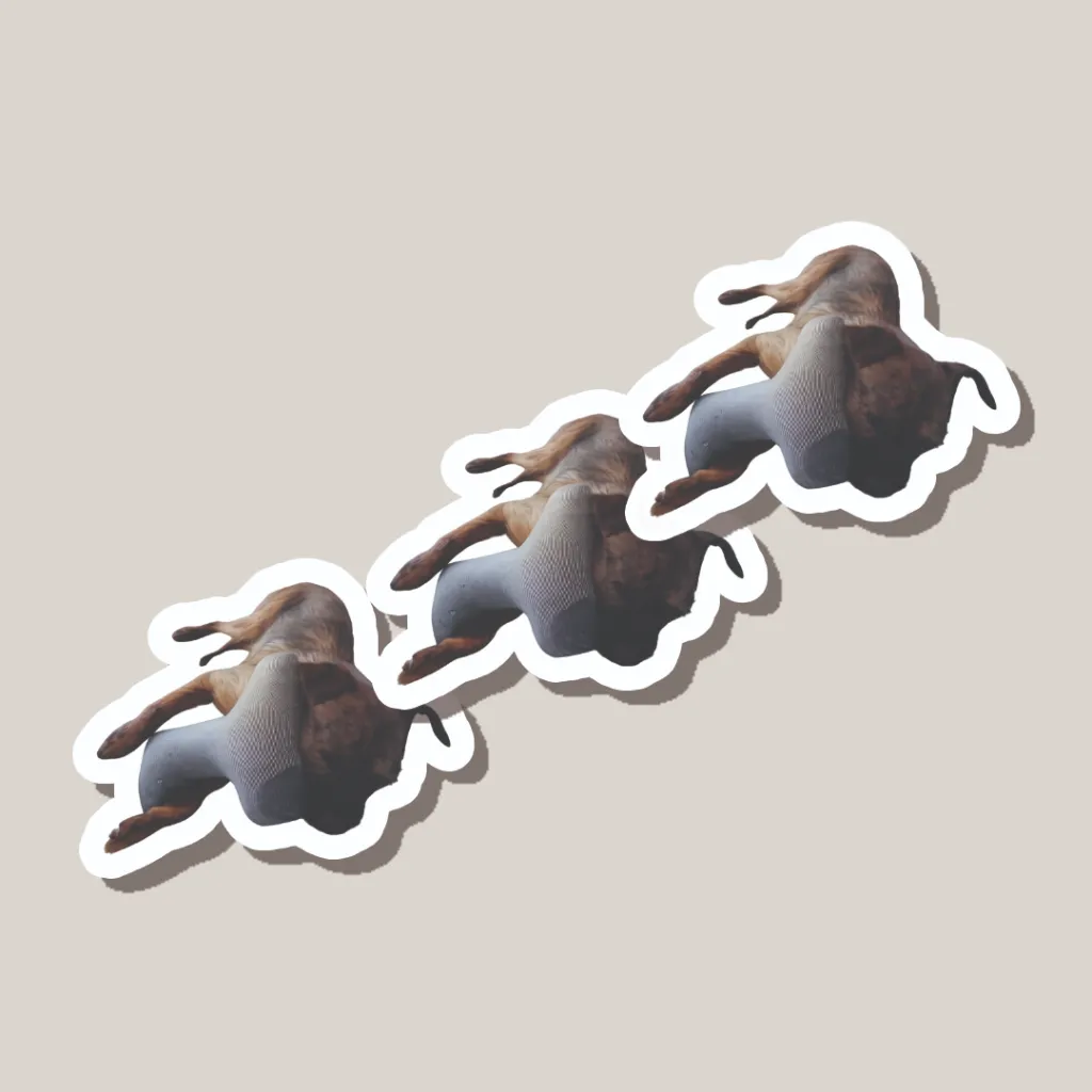 Perle Stofftier Sticker 3.webp