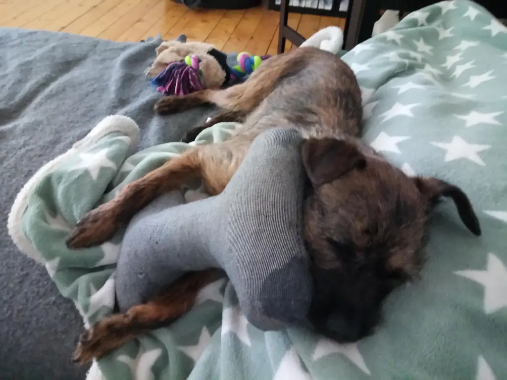 Sticker (Vinyl matt)