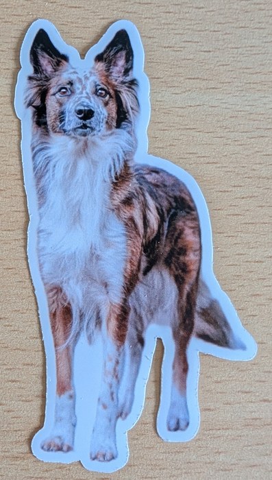 Sticker von Hund Lotta als Beispiel für ein individuelles Design bei HeKi Merch